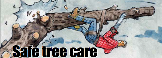 Safe Tree Care