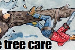 Safe Tree Care