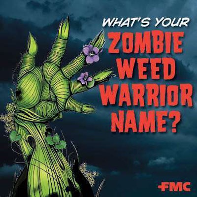 ZOMBIE WEED Warrior