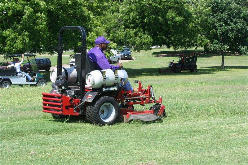 81031e12488cc386_800x800ar