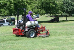 81031e12488cc386_800x800ar