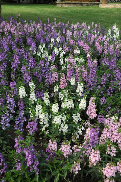 Ball Horticultural Company