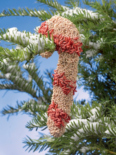 Photo: Courtesy of Gardener’s Supply Company