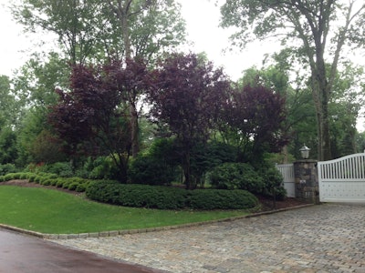 Much of Total Turf’s clientele is estate residences in Westchester County New York.