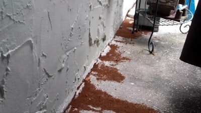 Photo: Business Insider