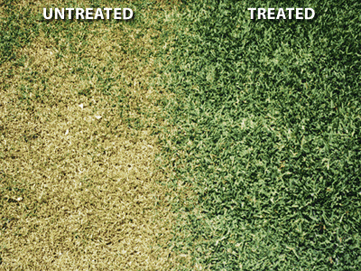 Photo examples from Hydretain