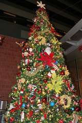 51125d63354de5bb0940c07c_160x240