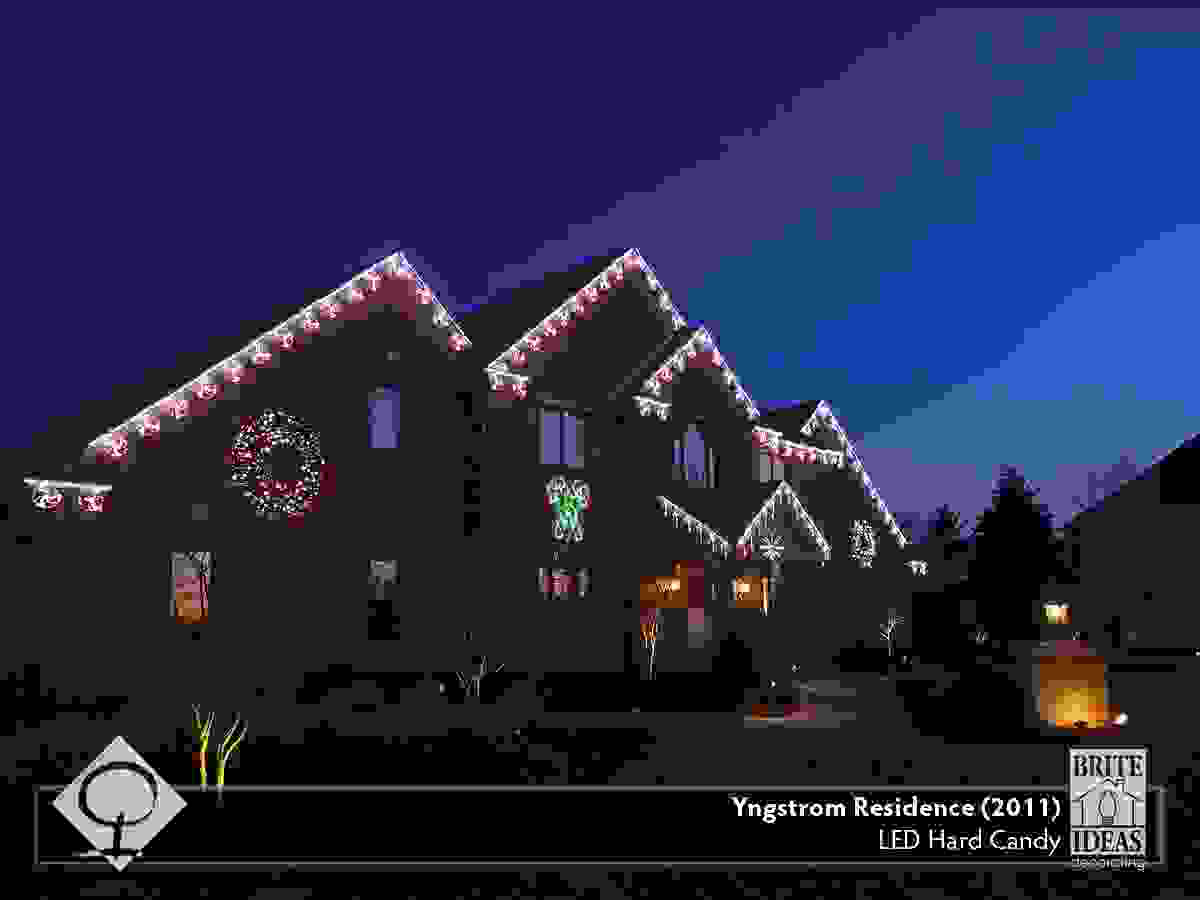 Yngstrom_Closeup_2011-2