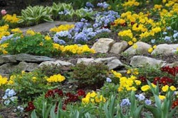 Photo: B&D Rockeries