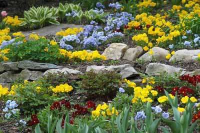 Photo: B&D Rockeries
