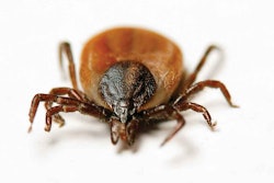 tick-WEB