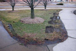 Photo: Weed Man Lawn Care Minneapolis, MN