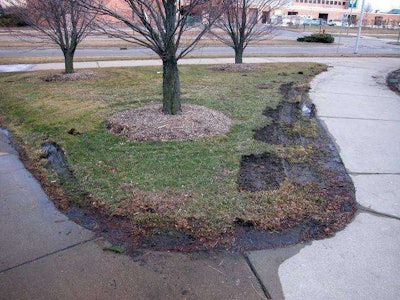 Photo: Weed Man Lawn Care Minneapolis, MN