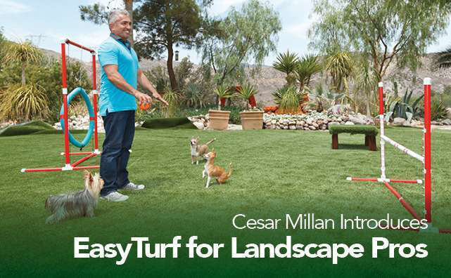 2_Cesar_Email_Header