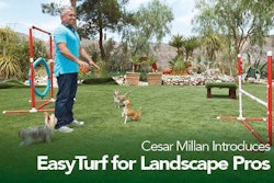 2_Cesar_Email_Header