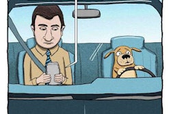 Dog Driving While Texting