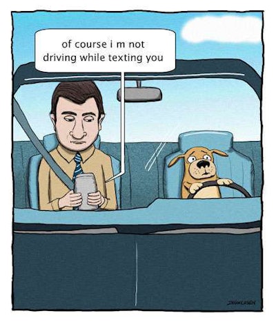Dog Driving While Texting