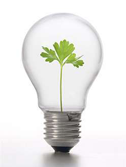 Green Energy Pic
