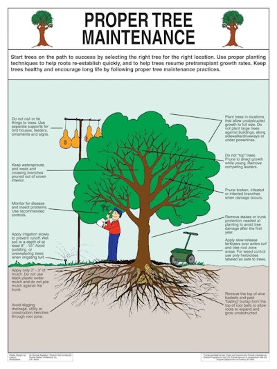 (Click image and zoom in for larger view)