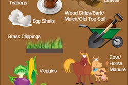 composting101whatsinwhatsout_4fc625032c8c8