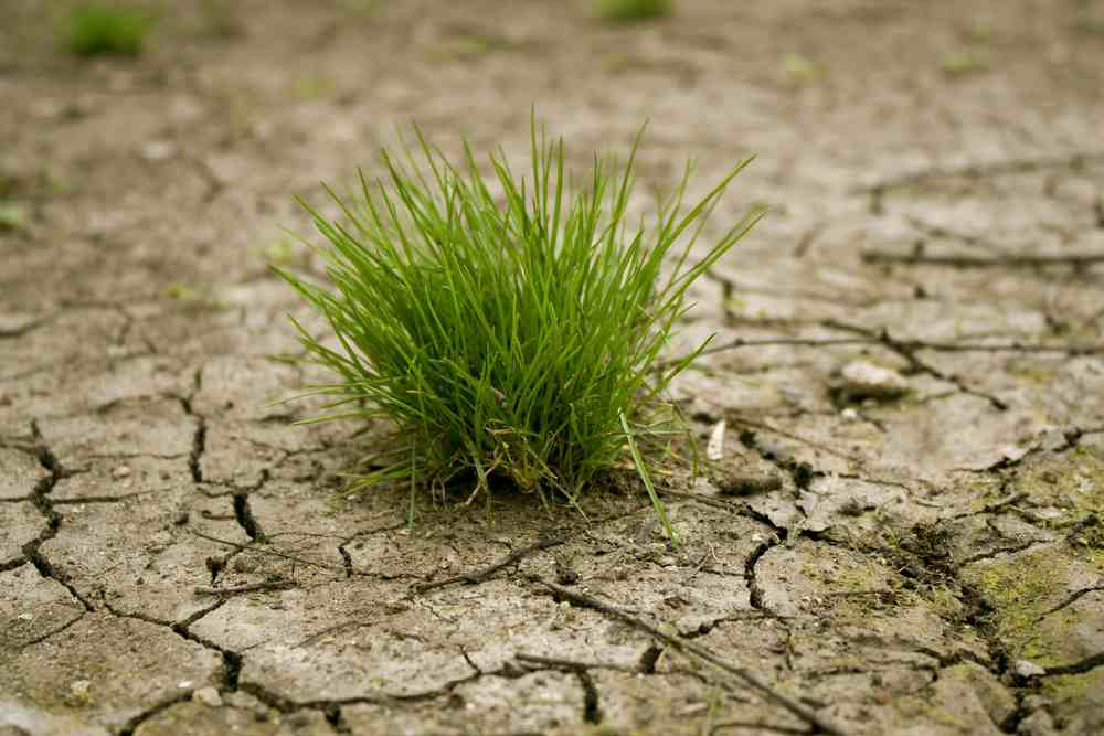 shutterstock_50705062