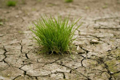 shutterstock_50705062