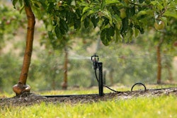 02122014_micro_sprinkler_7PC_1