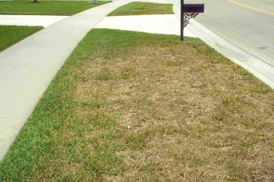 Typical damage to home lawn Photo: David Shetlar, The Ohio State University, Bugwood.org