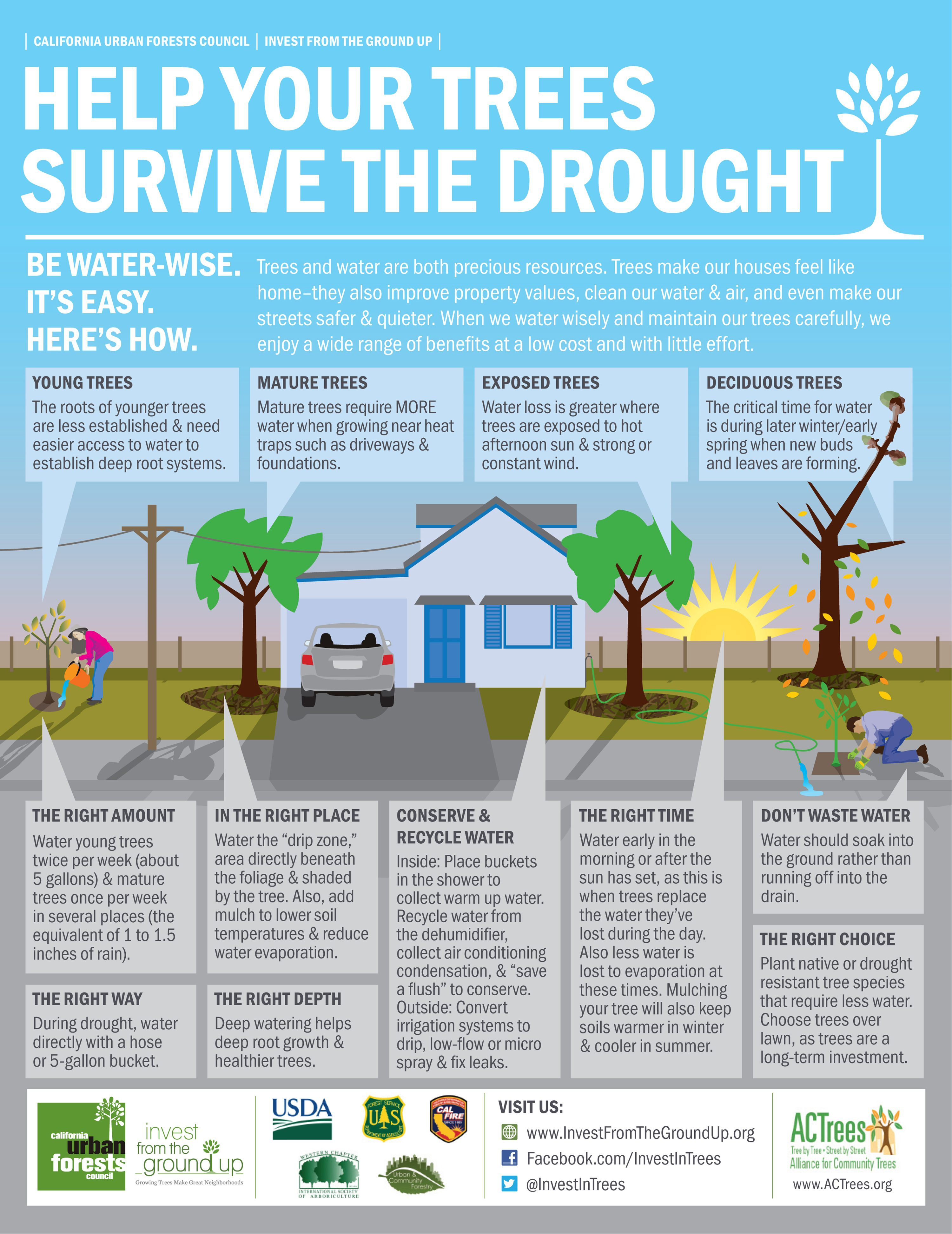 Drought-infographic_ACTrees