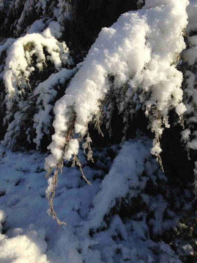 Ice Hoover