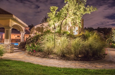 An existing 16-foot whepping white pine made a great backdrop for this project.