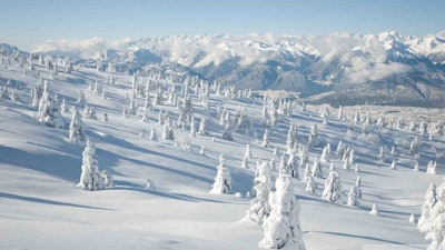 winter-landscape-with-spruce-tree-covered-by-snow_00442991