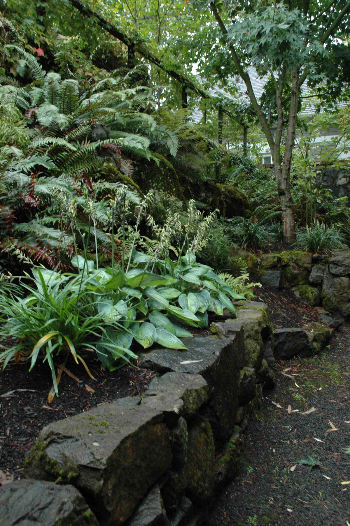 Breaking Barriers | Total Landscape Care