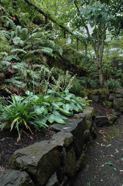 Also located on Lake Oswego, this project features a front yard made of a deep-shade green with walls of reclaimed stone and gravel paths.