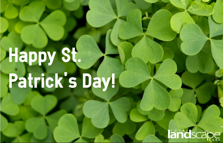 St. Patrick's Day