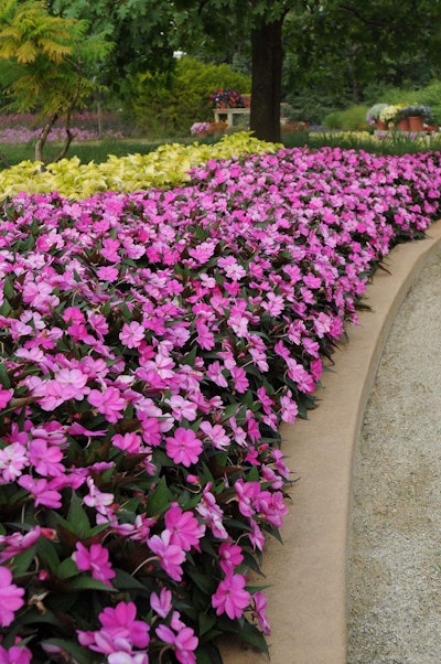 Ball Horticultural Company