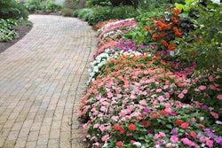 shutterstock_1754201