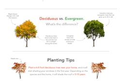 Landscaping101 Finalv2 01