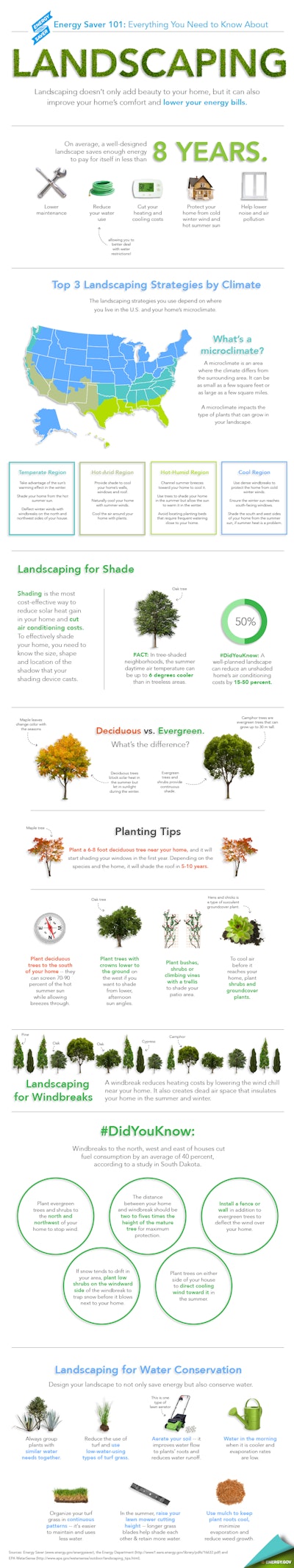 Landscaping101 Finalv2 01