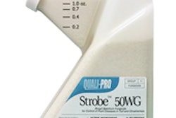Strobe 50WG