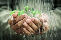 Shutterstock 126150698