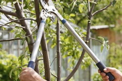 shutterstock_79232746