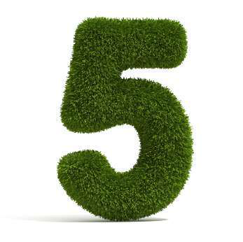 Successful Landscaper