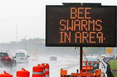 Bee Swarm TLC