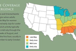 beetle-coverage