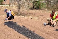 Heads Up Landscape Planet Day Of Service Tlc Magazine