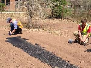 Heads Up Landscape Planet Day Of Service Tlc Magazine