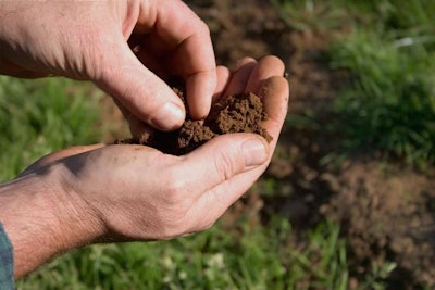 Testing Soil P H Tlc Magazine