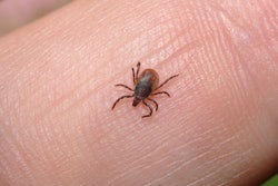 Tick Safety_TLC magazine