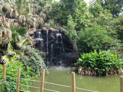 Waterfall TLC